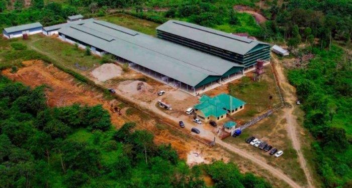 PT PBS, sebuah perusahaan perkebunan dan pengolahan karet, telah berdiri dan siap beroperasi pada Februari 2025 mendatang di Kecamatan Woyla, Kabupaten Aceh Barat.