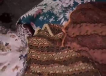 Kecelakaan Maut di Rigaih Aceh Jaya, Tiga Penumpang Hiace Meninggal Dunia