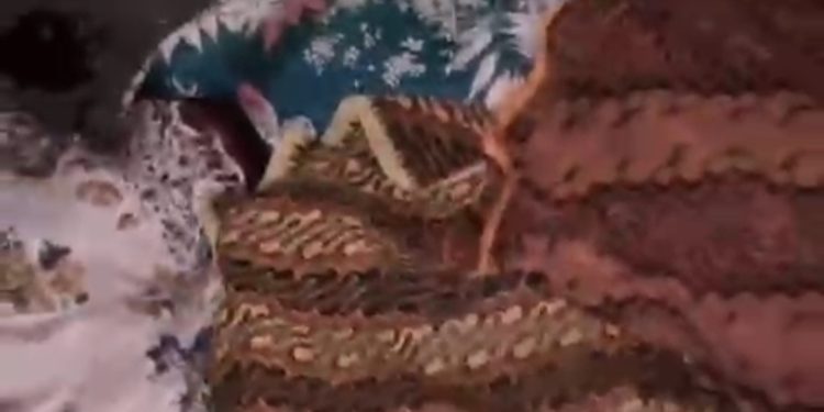 Kecelakaan Maut di Rigaih Aceh Jaya, Tiga Penumpang Hiace Meninggal Dunia